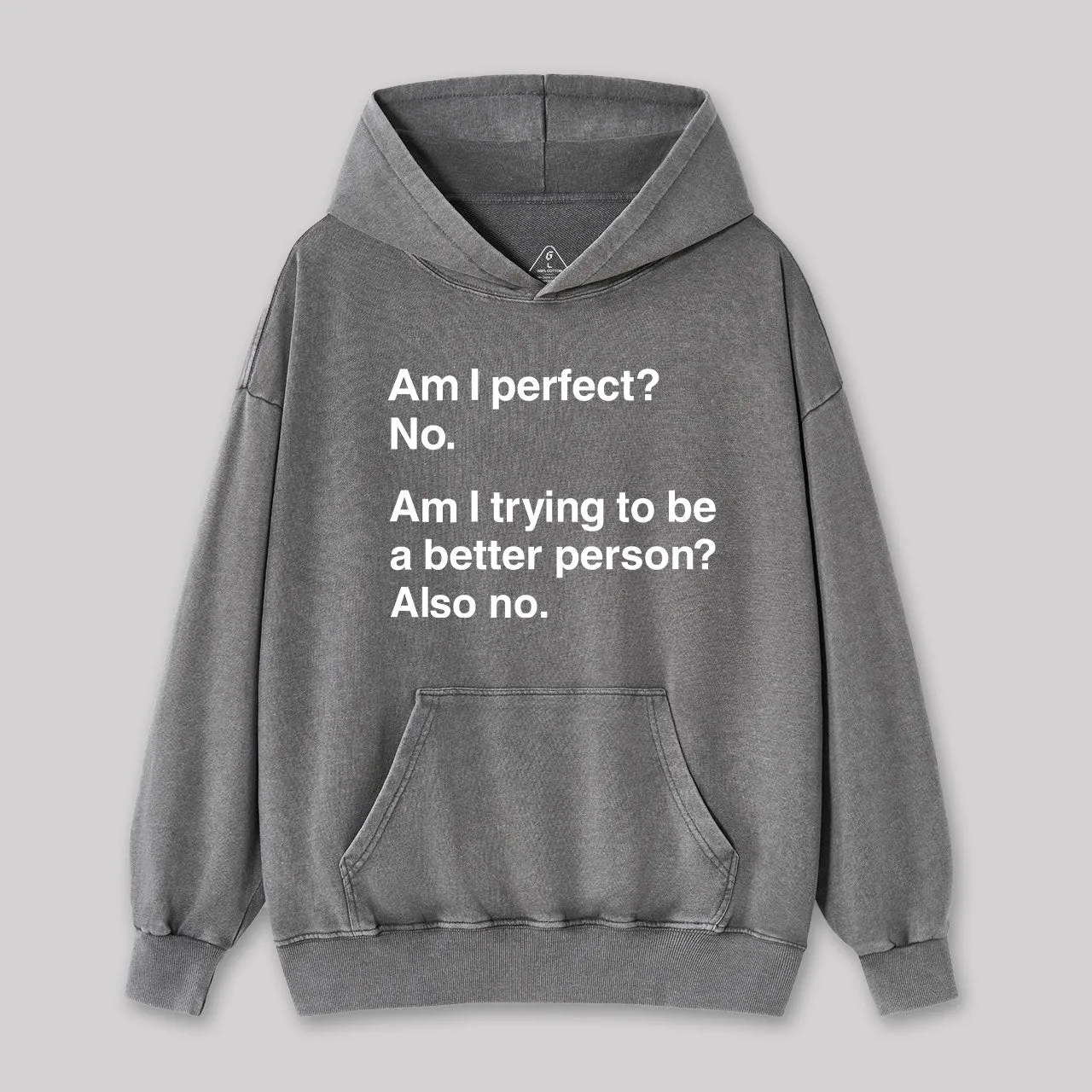 Am I Perfect No Geek Washed Hoodie