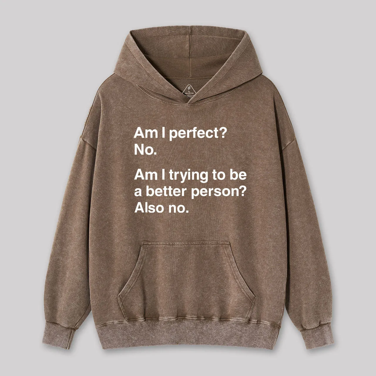 Am I Perfect No Geek Washed Hoodie