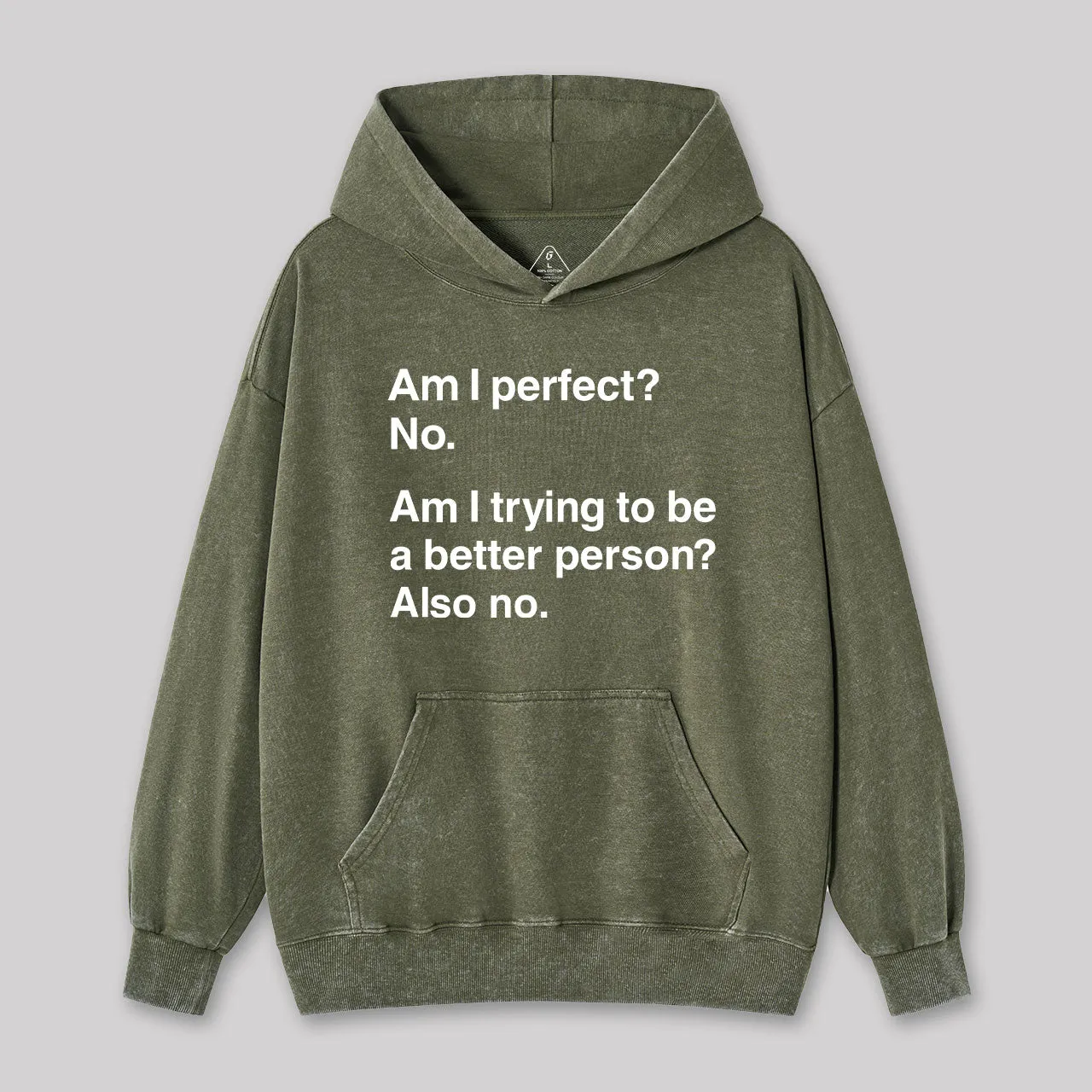 Am I Perfect No Geek Washed Hoodie